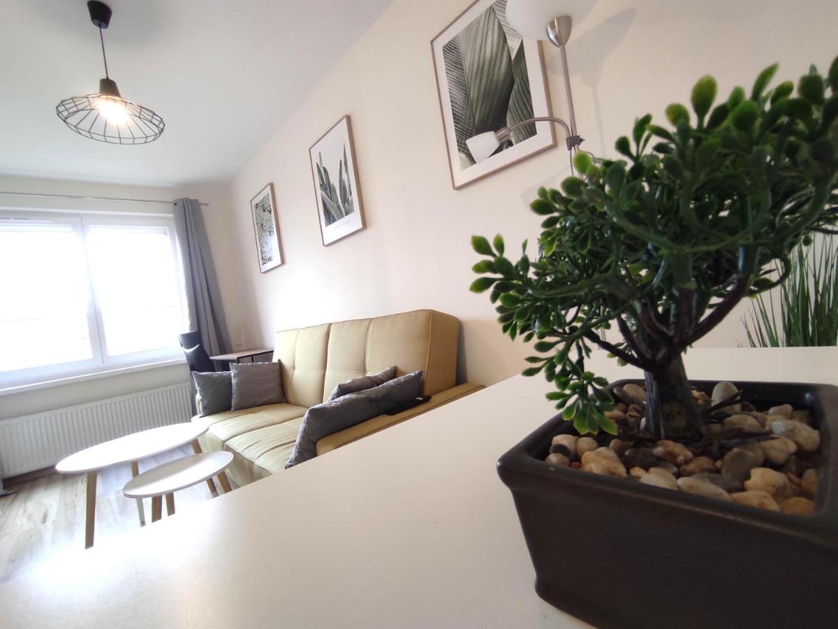 ***Casablanca Apartament*** - 40M² ✓ Rybnik  Dış mekan fotoğraf