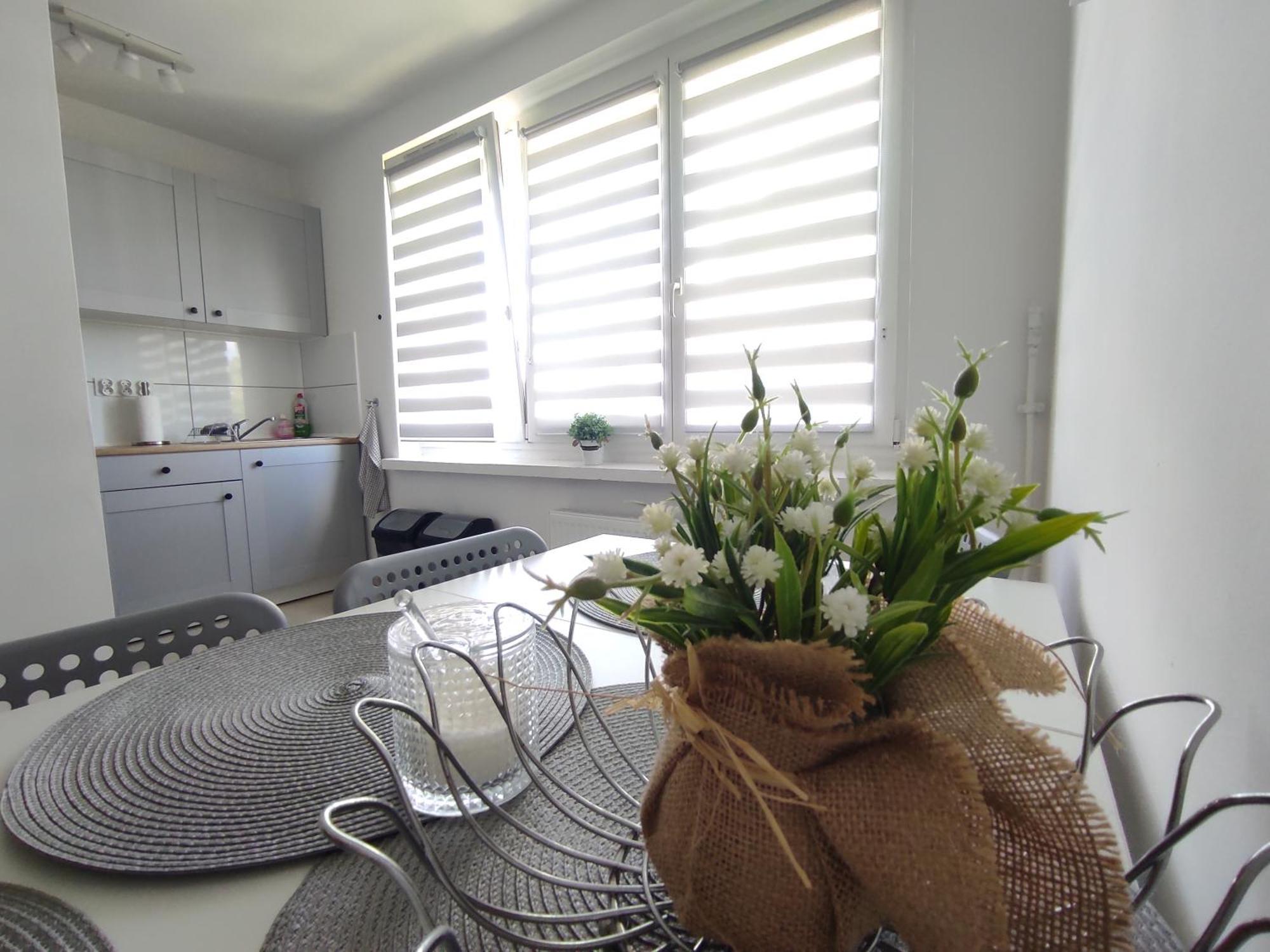 ***Casablanca Apartament*** - 40M² ✓ Rybnik  Dış mekan fotoğraf